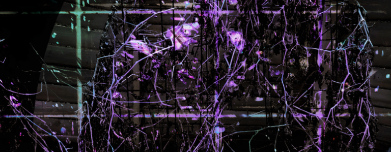 El sello neerlandés Donker congrega a 15 productoras contra el cáncer de mama